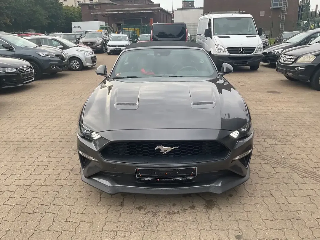 Ford Mustang - Thumbnail 4