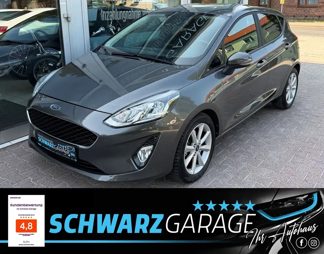 Ford Fiesta - Thumbnail 1