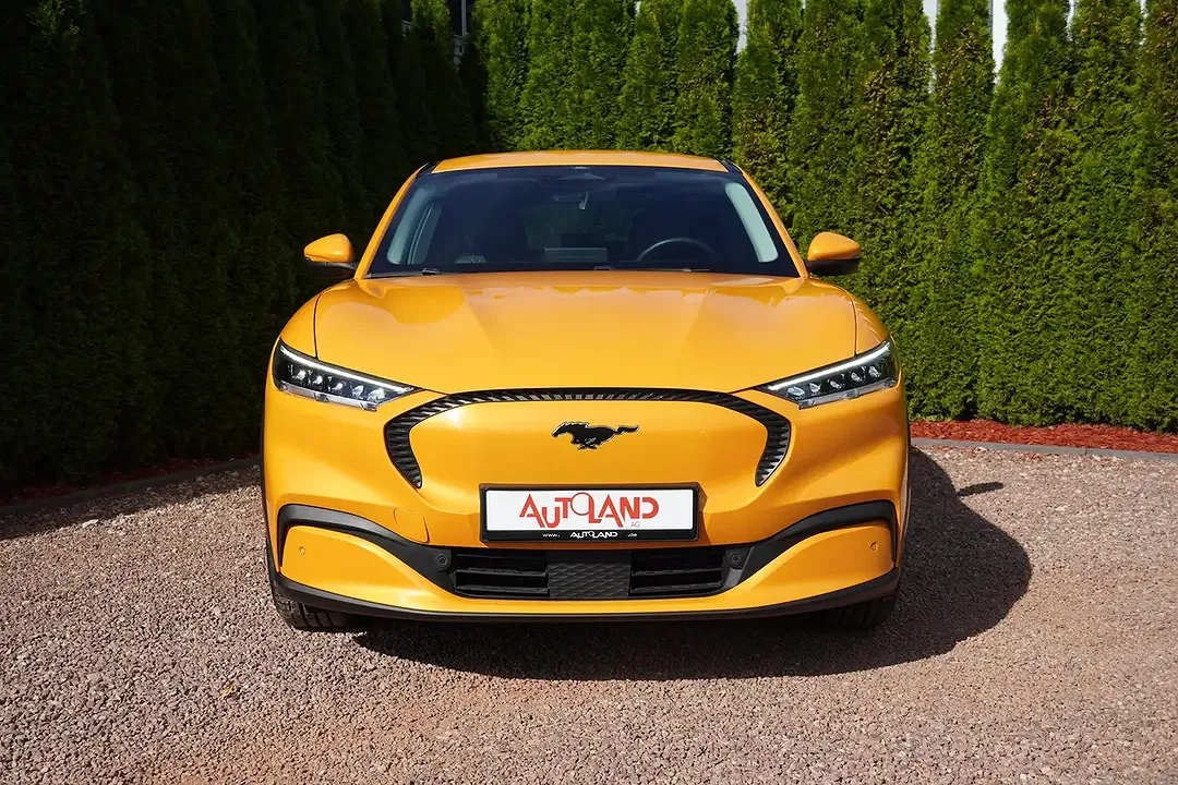 Ford Mustang - Thumbnail 3