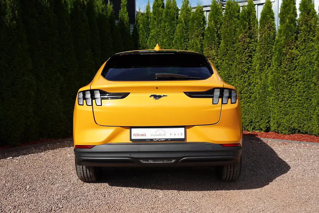 Ford Mustang - Thumbnail 7